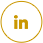 Linkedin Link
