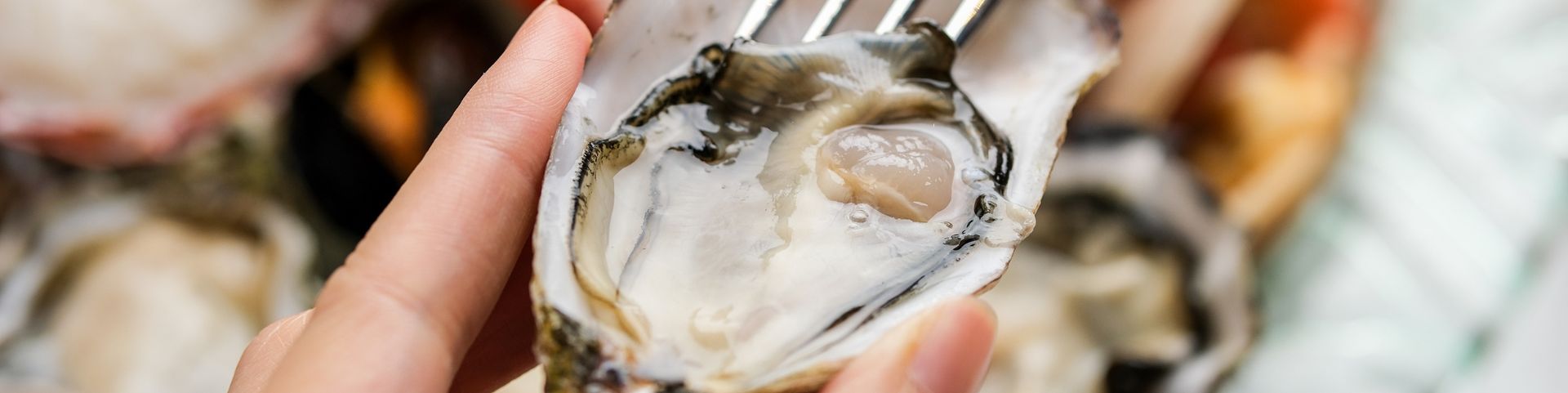 15% off Seafood Sunday Brunch 